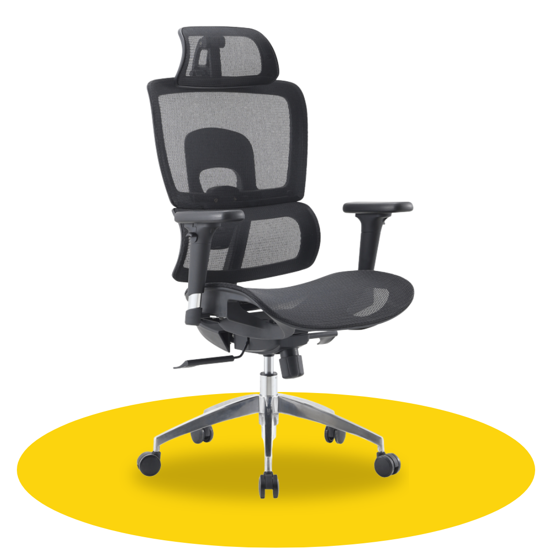 Cadeira Ergonomic
